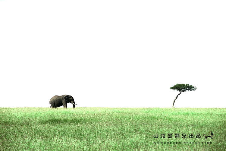 馬賽馬拉不是一個(gè)國家公園