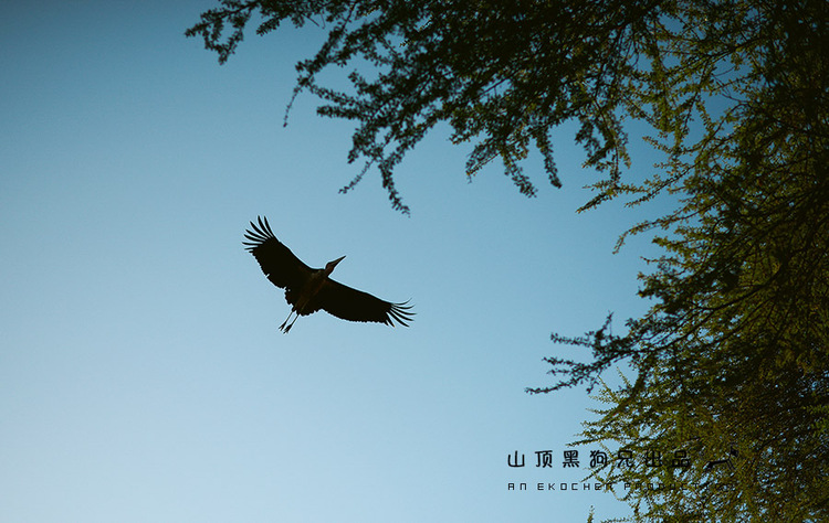 馬賽馬拉不是一個(gè)國家公園