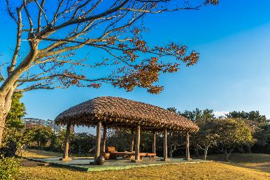 景點：濟州民俗村