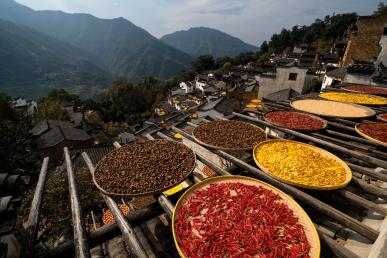 【國(guó)風(fēng)畫(huà)卷】<廬山、鄱陽(yáng)湖石鐘山、景德鎮(zhèn)、婺源篁嶺、三清山、夜游望仙谷6日游>